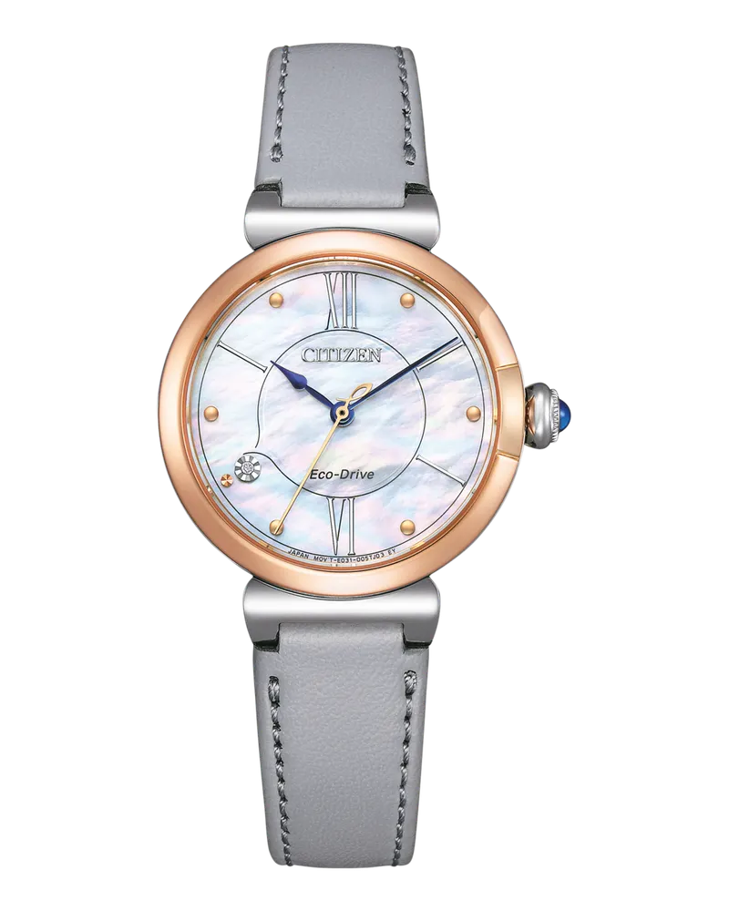 Citizen Eco-Drive Damenuhr Damenuhr EM1074-15D Perlmutt