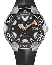 Citizen Promaster  Herrenuhr 