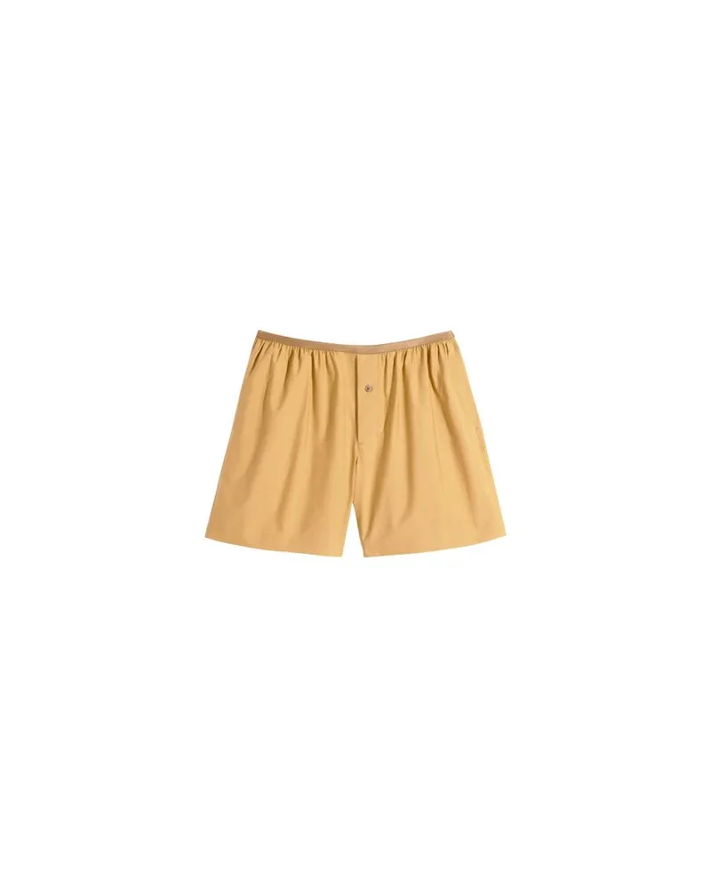 Christophe Lemaire Boxershorts Metallized