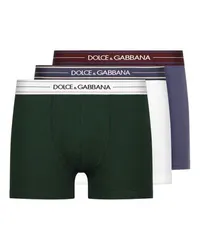 Dolce & Gabbana Brando-Slips Multicolor