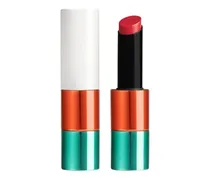 Rouge , Glänzender Lippenstift Silky, limitierte Kollektion