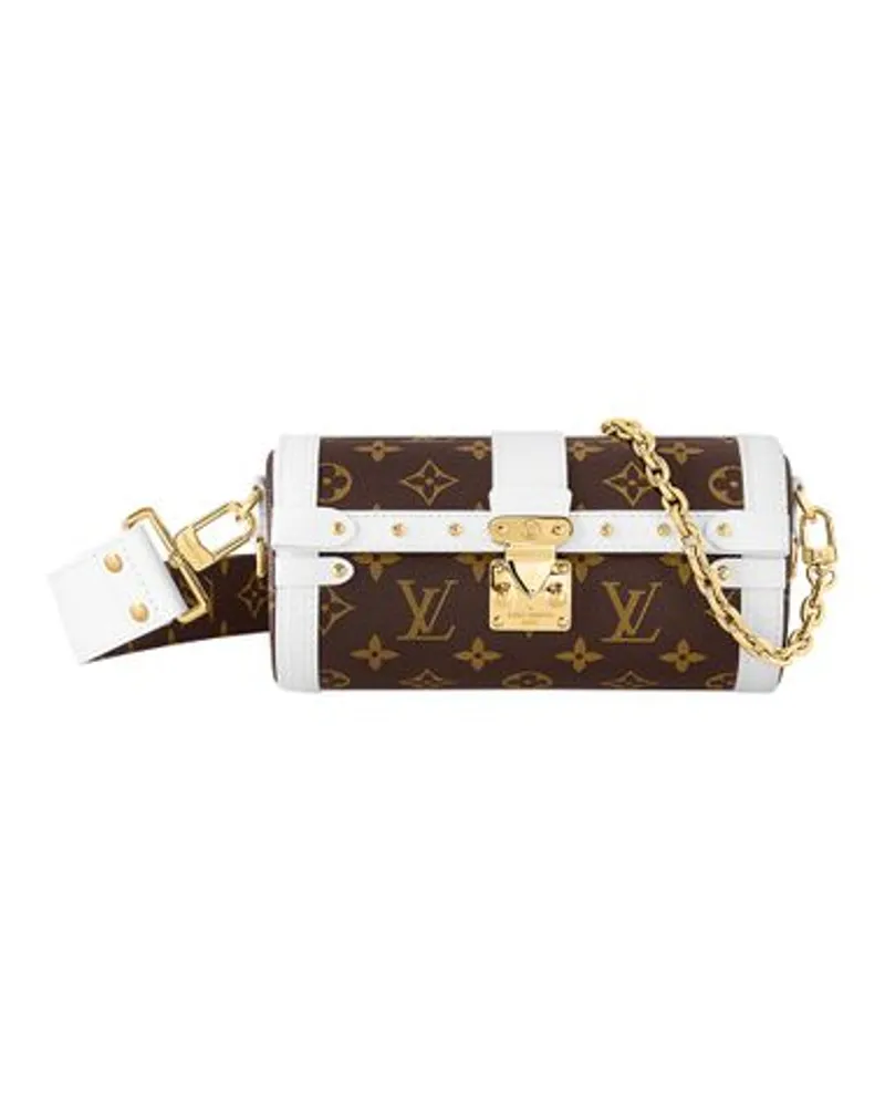 Louis Vuitton Papillon Trunk Brown