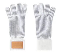 Neverfull Handschuhe