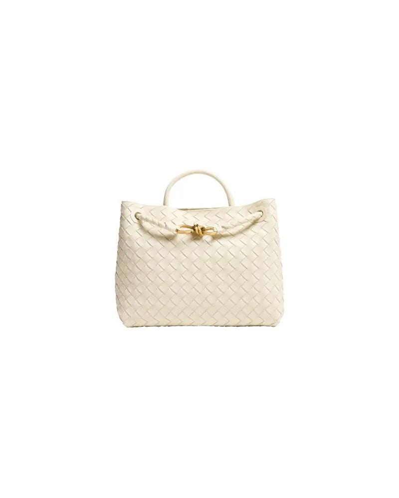Bottega Veneta Andiamo bag Grey
