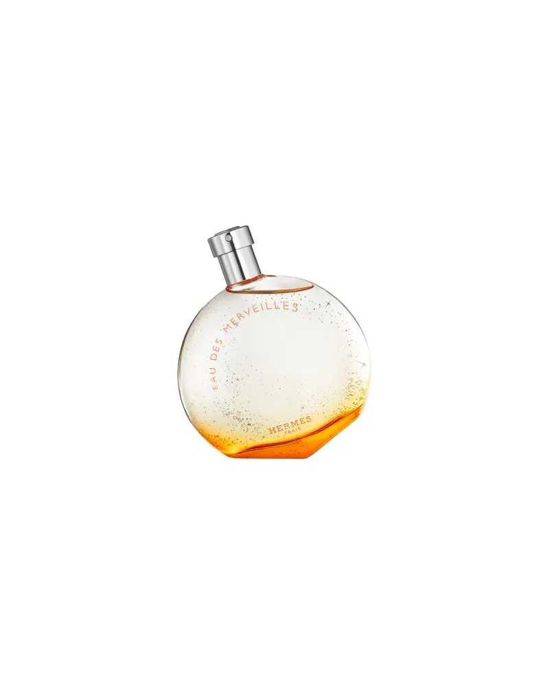 Hermès Les Pinceaux , Les voyageurs, limitierte Edition 