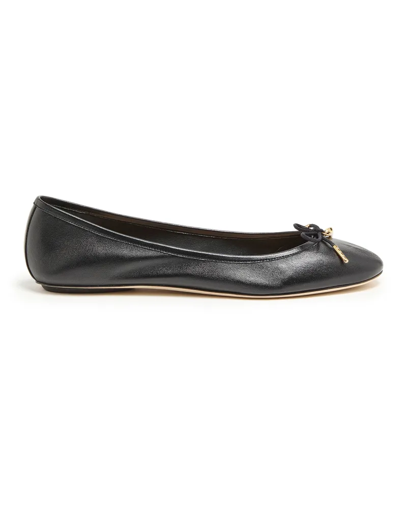 Chloé Ballerinas Iris 