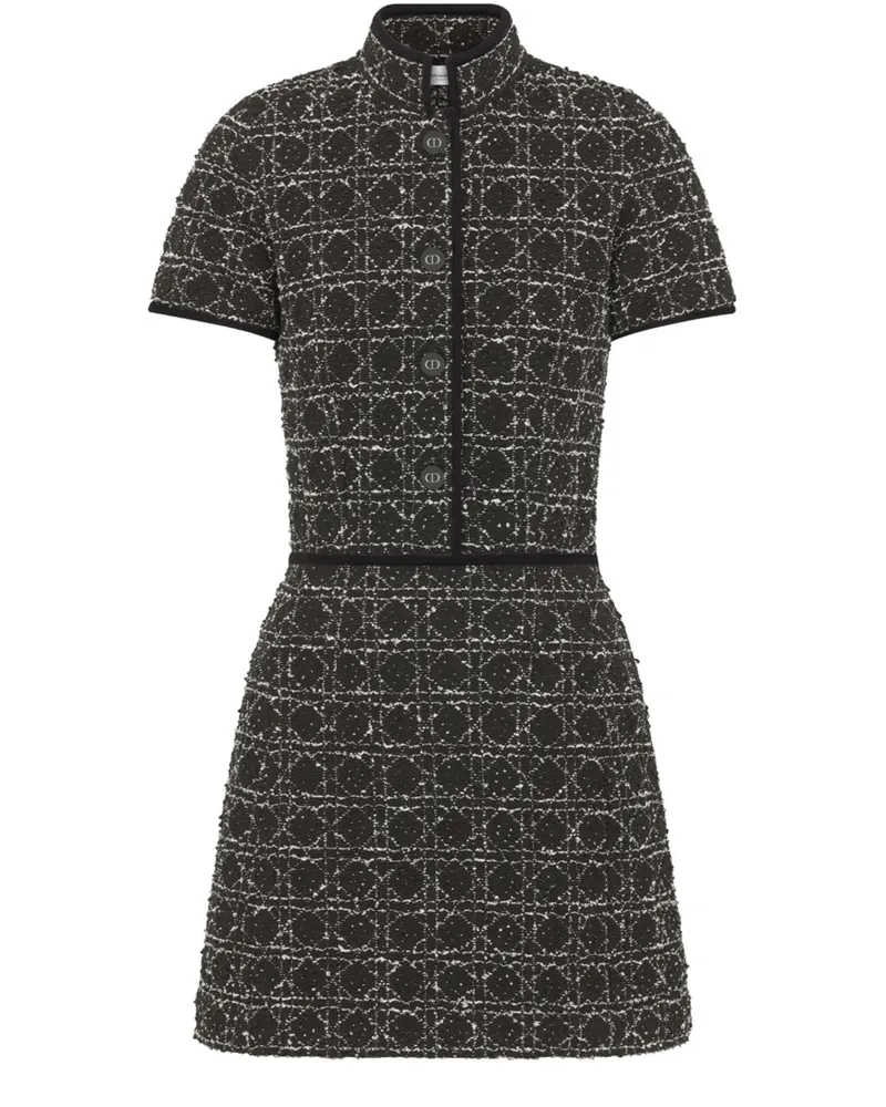 Dior Kurzes, ausgestelltes Macrocannage Kleid 