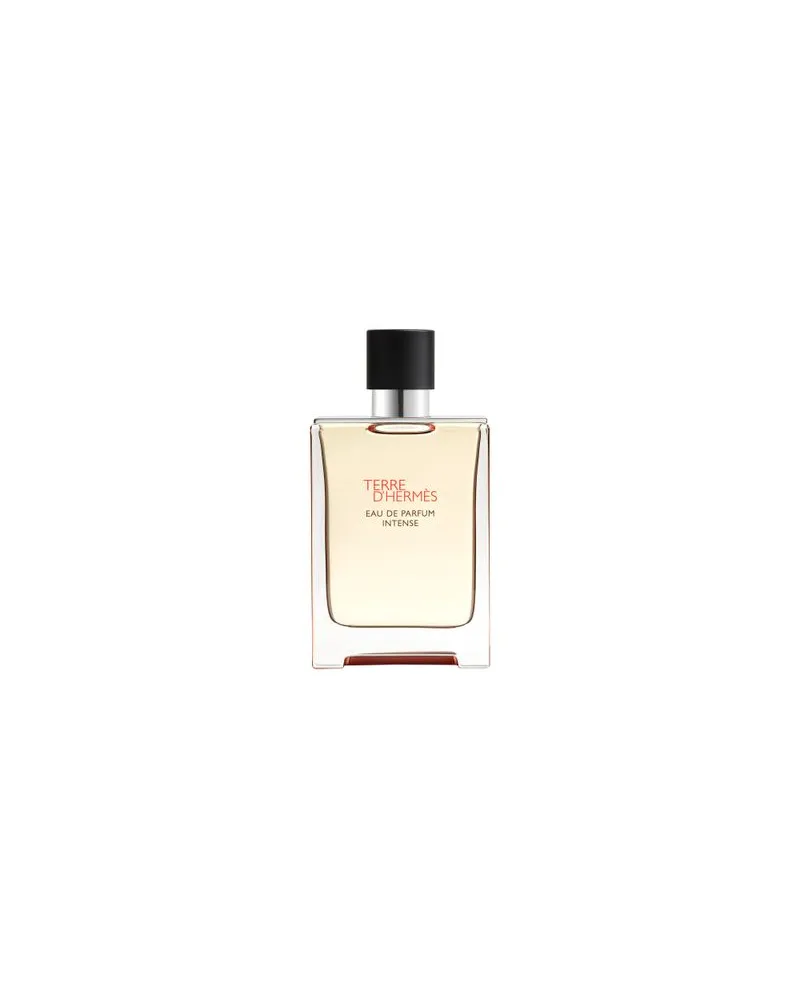 Hermès Terre d', Eau de Parfum Intense 100 ml 