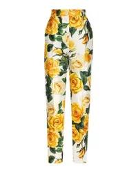 Dolce & Gabbana High-Waist-Hose Multicolor