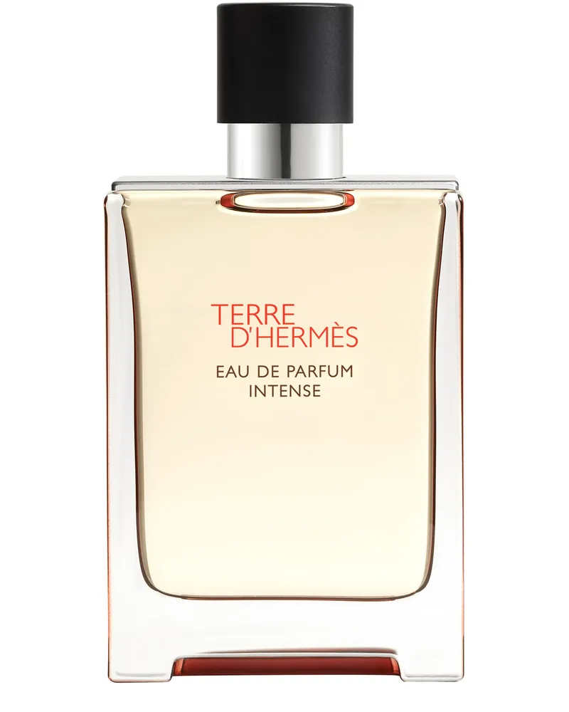 Hermès Terre d', Eau de Parfum Intense 100 ml No