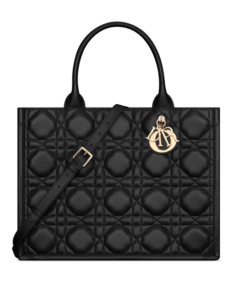 Dior Mittelgroße Book Tote 