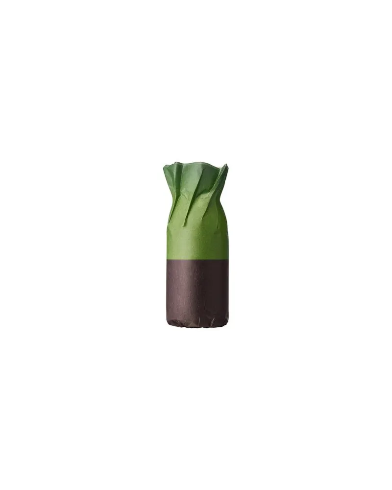 Bottega Veneta Schultertasche Jodie Mini 