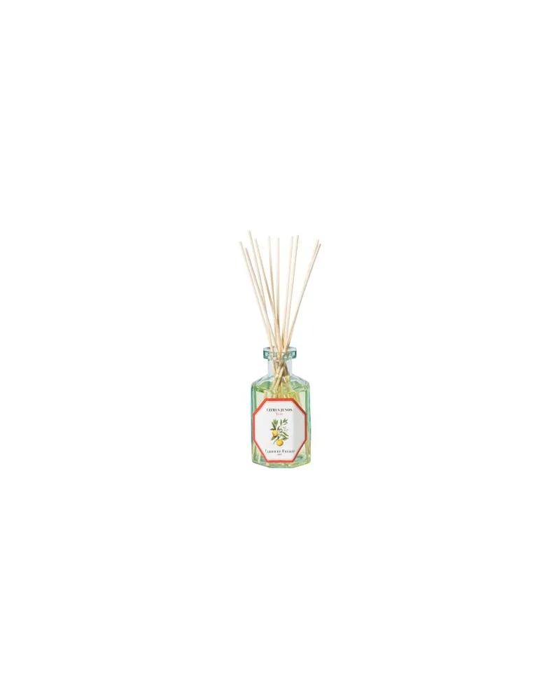 Frédéric Malle Eau de Parfum Dawn 100 ml 