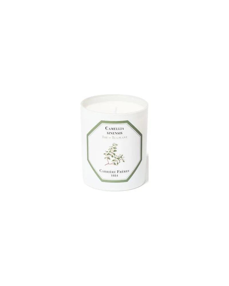 Frédéric Malle Eau de Parfum Dawn 100 ml 