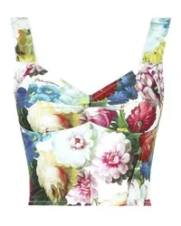 Dolce & Gabbana Korsett-Top Multicolor