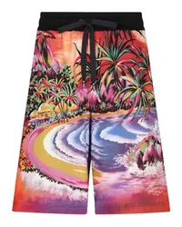 Dolce & Gabbana Joggingshorts Multicolor