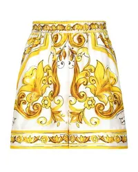 Dolce & Gabbana Shorts Multicolor