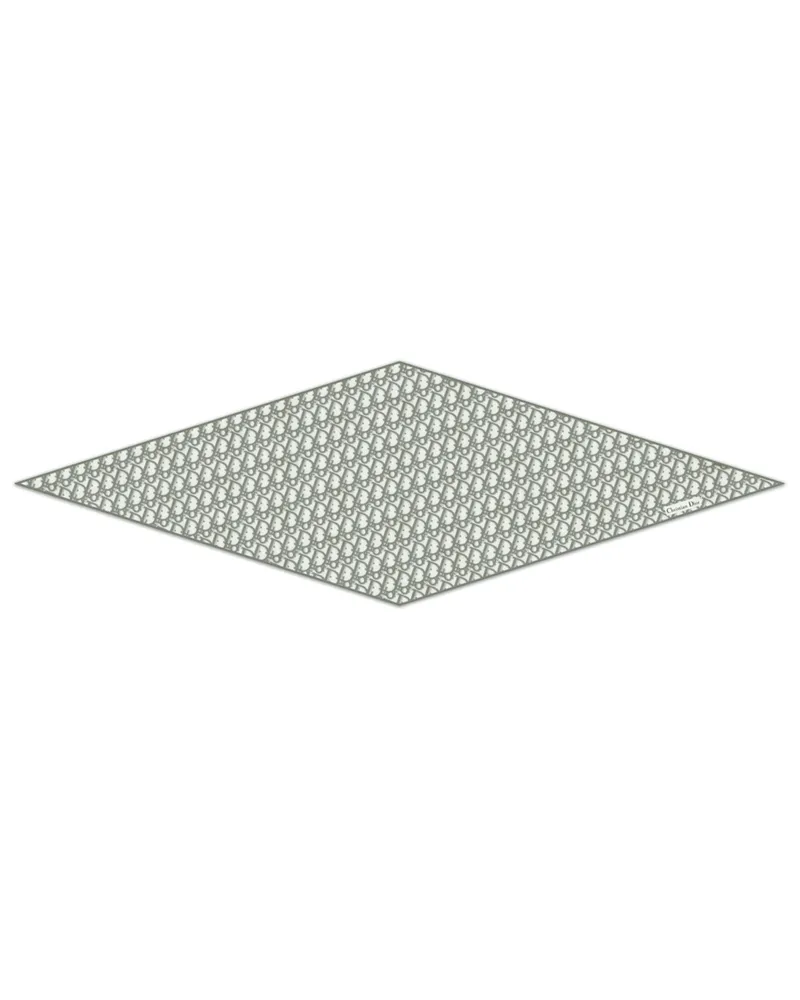 Dior Oblique Dior Diamond Tuch Grey