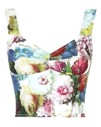 Dolce & Gabbana Korsett-Top Multicolor