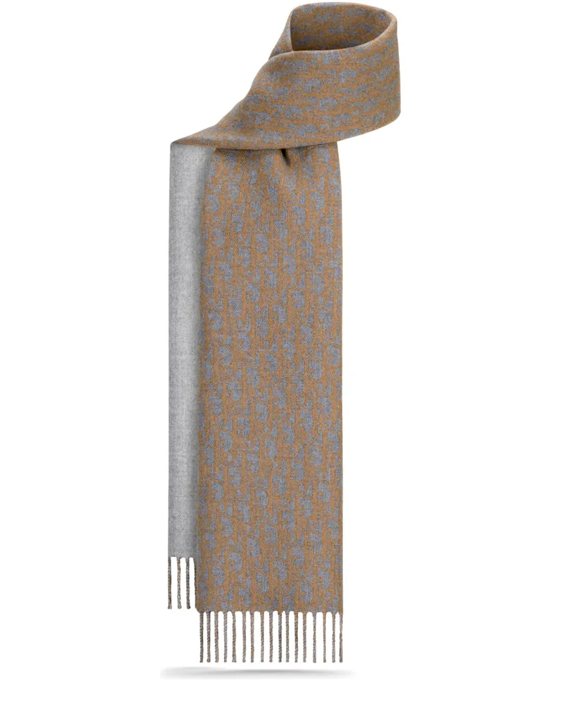 Dior Oblique Wendeschal Grey