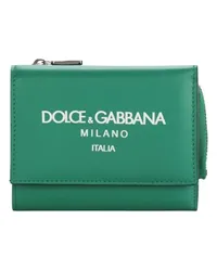 Dolce & Gabbana Geldbörse Green