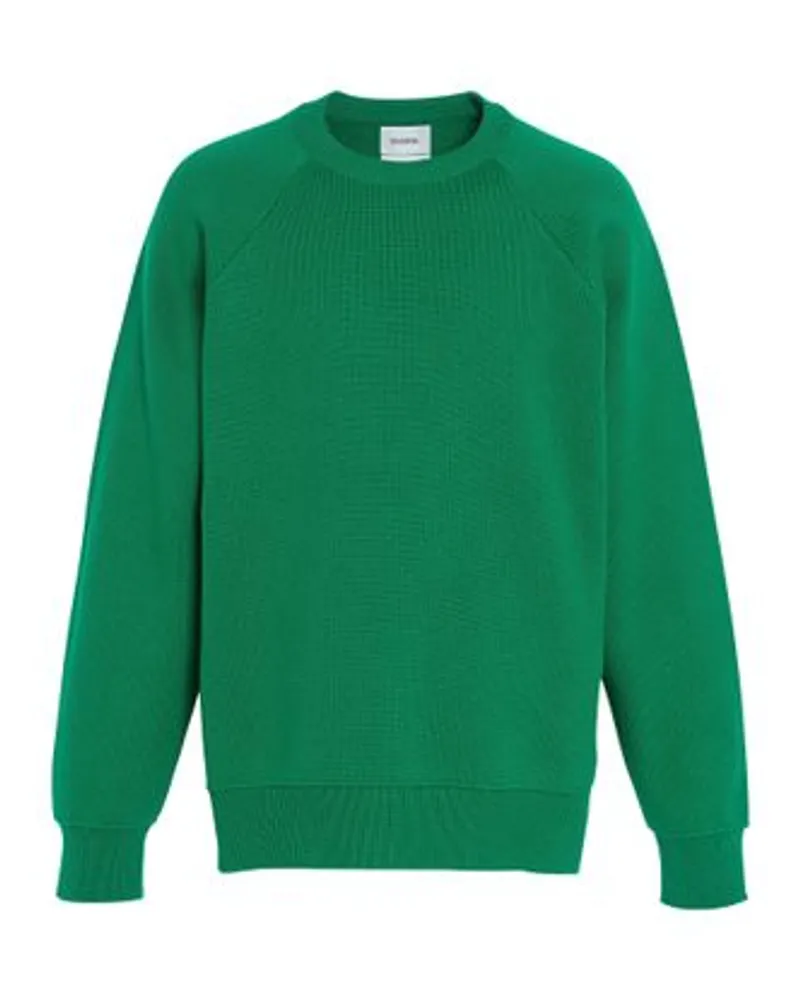 Barrie Rundhalspullover Green