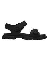 Coach Ledersandalen Brynn Black