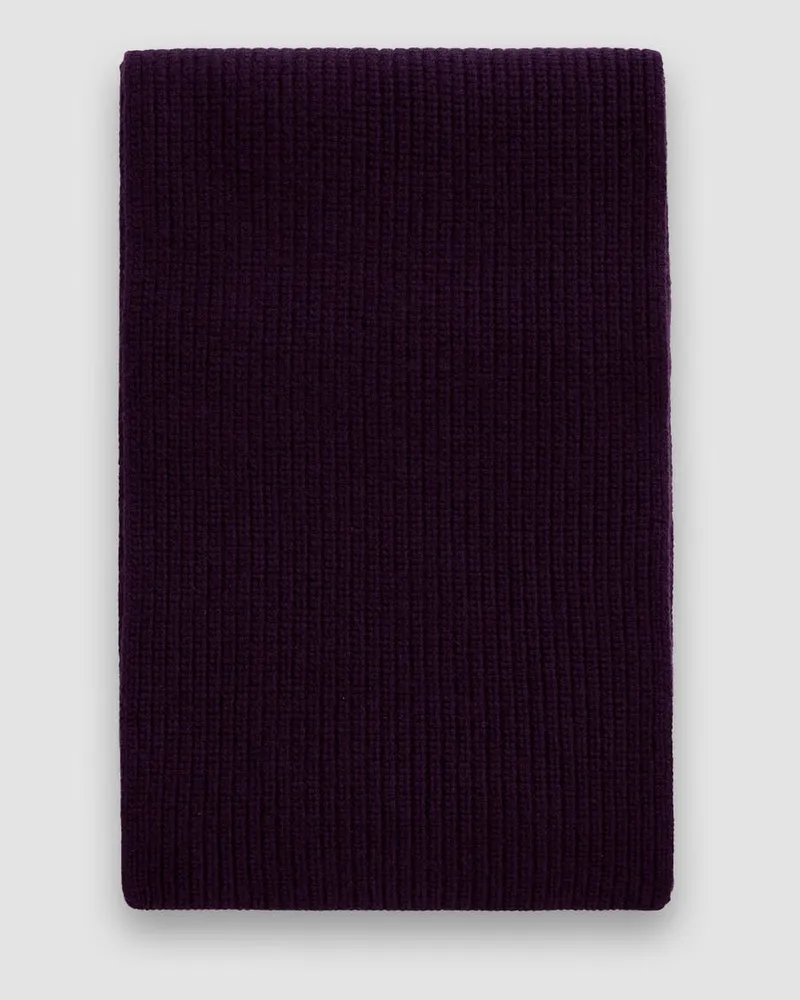 Joseph Luxe Cashmere Scarf Purple