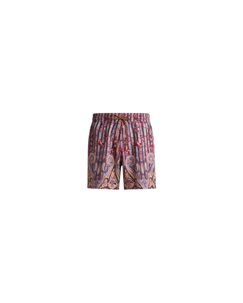 Etro Shorts Mit Vogelprint, Herren, Hellblau