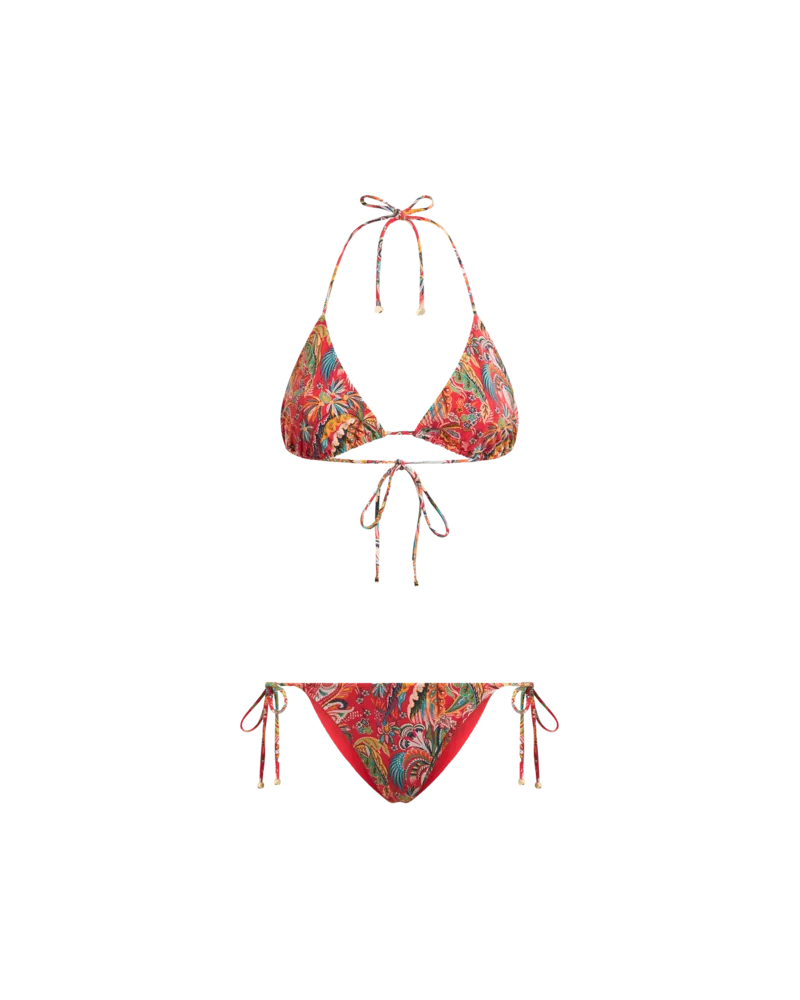 Etro Bikini Mit Paisley-foliage-muster, Damen, Rot, Größe Rot