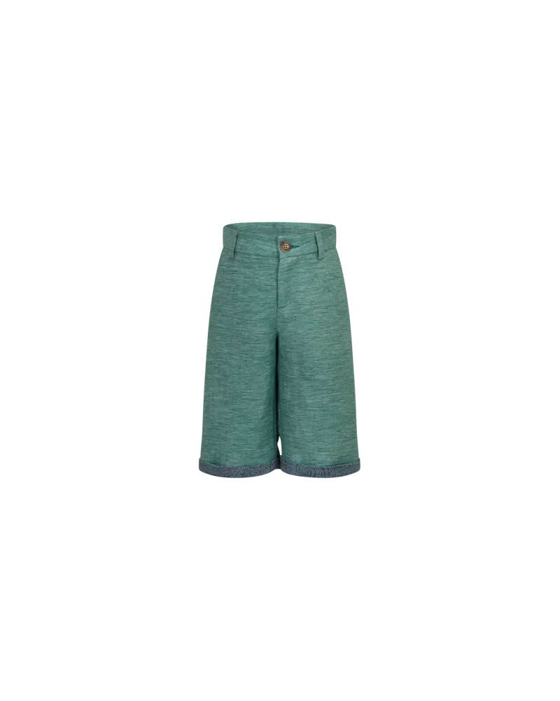 Etro Shorts Aus Leinen Und Baumwolle Mit Pegaso-logo, Grün, Größe Grün