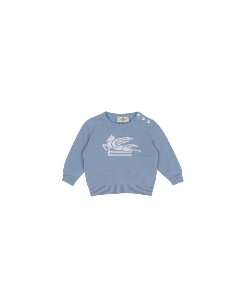 Etro Pullover Mit Pegasus Für Babys, Hellblau Hellblau