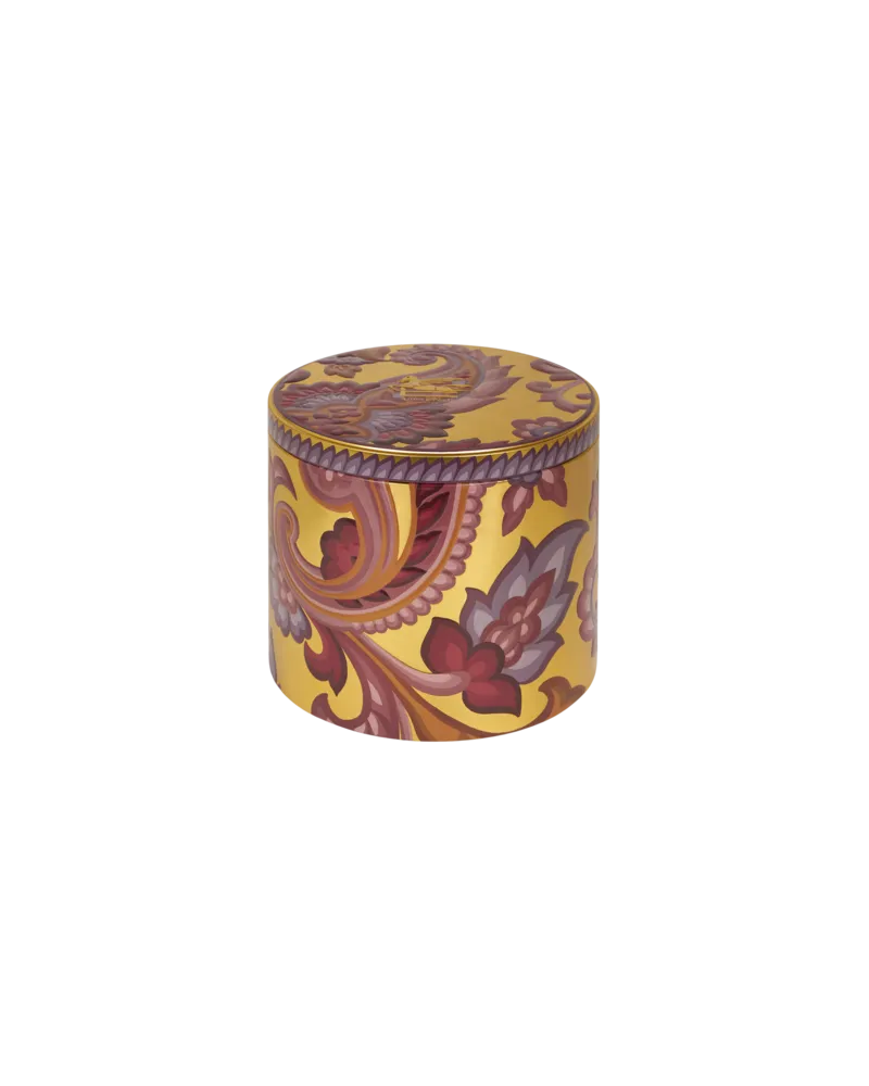 Etro Pandoro, Gelb Gelb