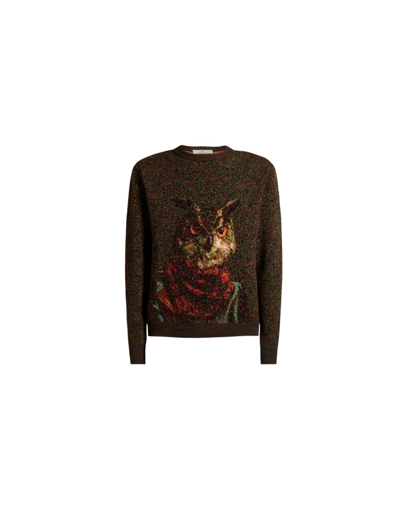 Etro Jacquard-pullover Mit Pixel-effekt Und Eulen-motiv, Herren, Grün, Größe Grün