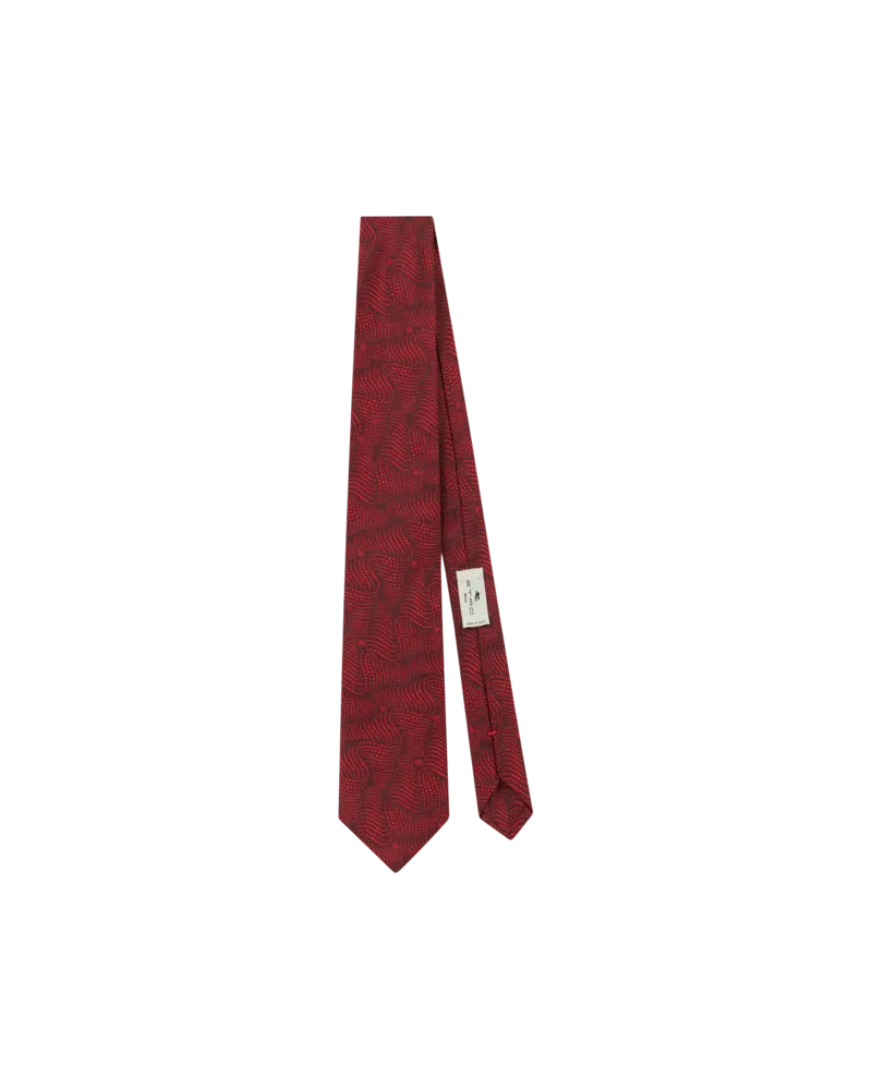 Etro Krawatte Aus Bedruckter Seide, Herren, Bordeaux Bordeaux