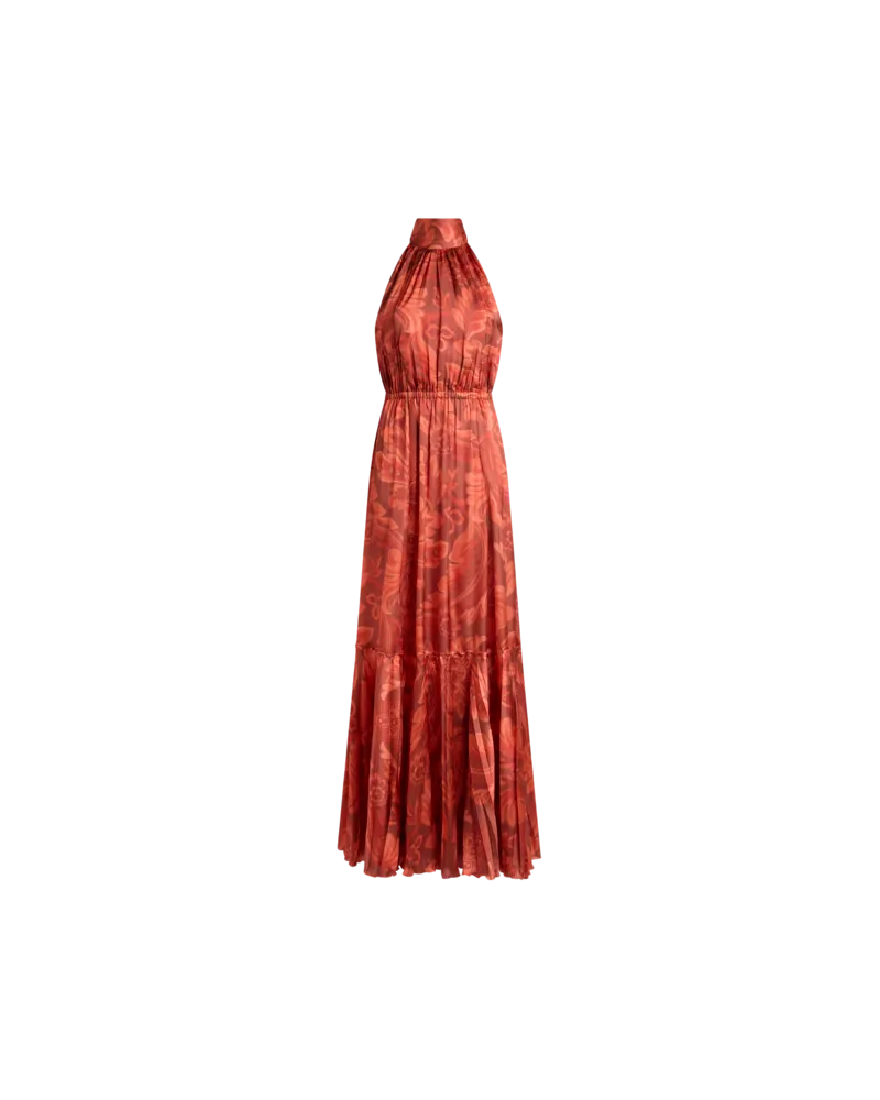 Etro Maxikleid Aus Peau D'ange-seide Mit Blumenmotiv Und Bienen, Damen, Orange, Größe Orange
