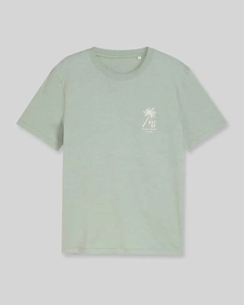 Tom Tailor Regular Fit T-Shirt aus reiner Baumwolle Mint