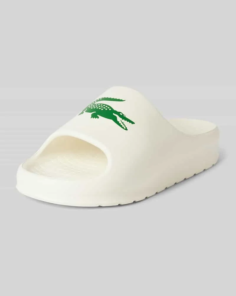 Lacoste Slides mit Label-Print Modell 'CROCO 