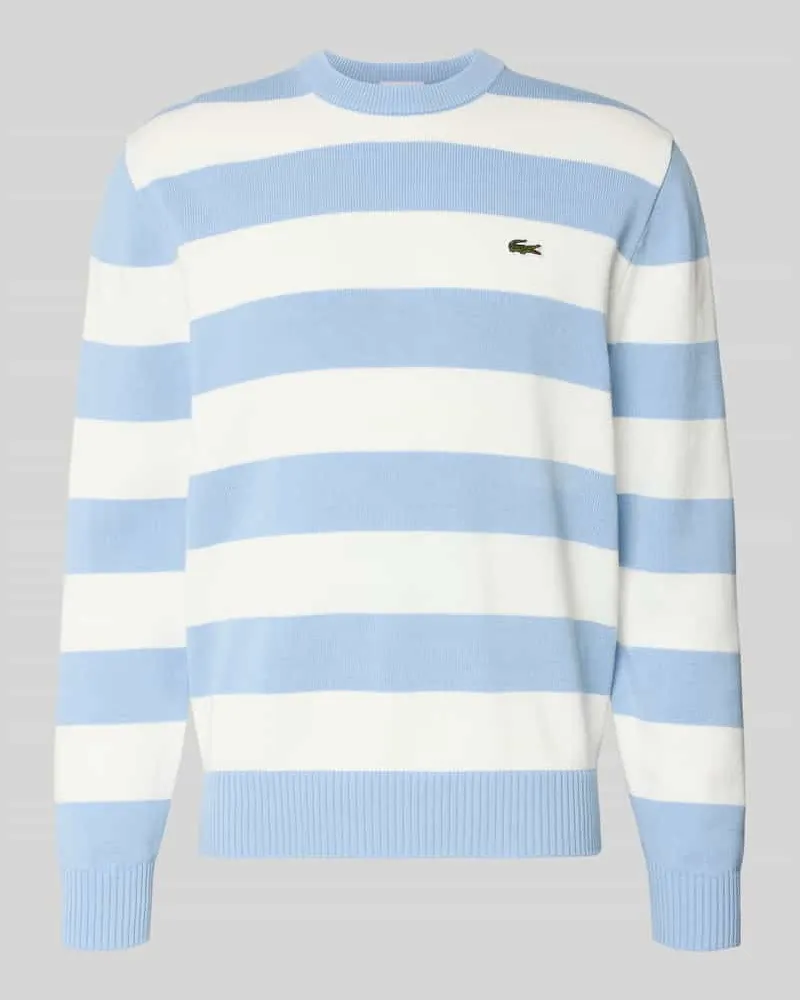 Lacoste Regular Fit Pullover aus reiner Baumwolle Hellblau