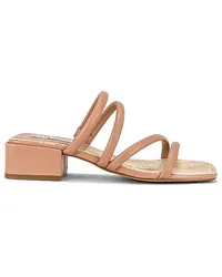 Steve Madden SANDALE CITIZEN in Tan Tan