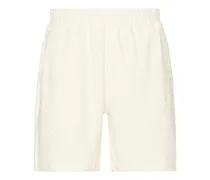 SHORTS in Ivory