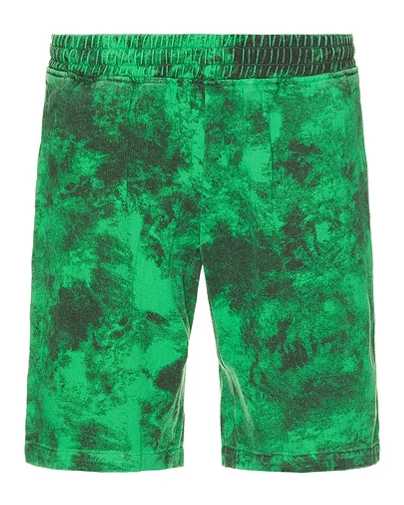 PLEASURES SHORTS in Green Green