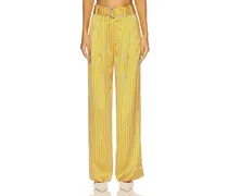 HOSE ARMAND in Yellow