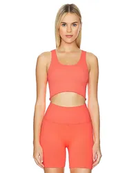 Spiritual Gangster TOP AMOR CROP in Coral Coral