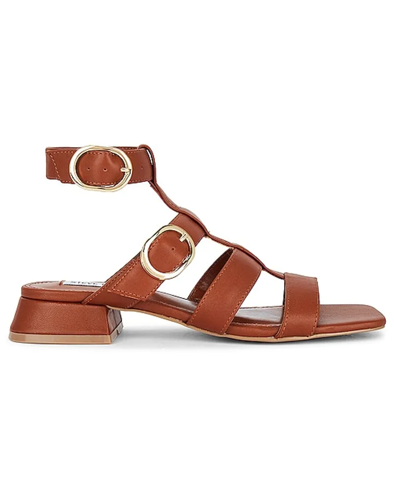 Steve Madden SANDALE AYLIN in Cognac Cognac