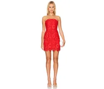 MINIKLEID ROJA LACE in Red