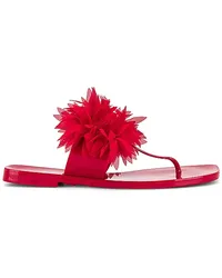 Jeffrey Campbell SANDALE POLLINATE in Red Red