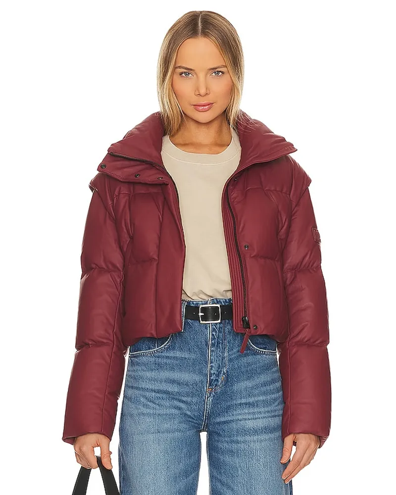 Mackage MANTEL BAILEY in Burgundy Burgundy