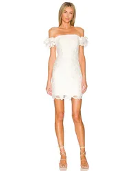 Milly KLEID BRITTON in Ivory Ivory