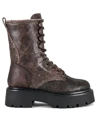 Steve Madden BOOTS IM MILITARY-LOOK ROWEN in Chocolate Chocolate